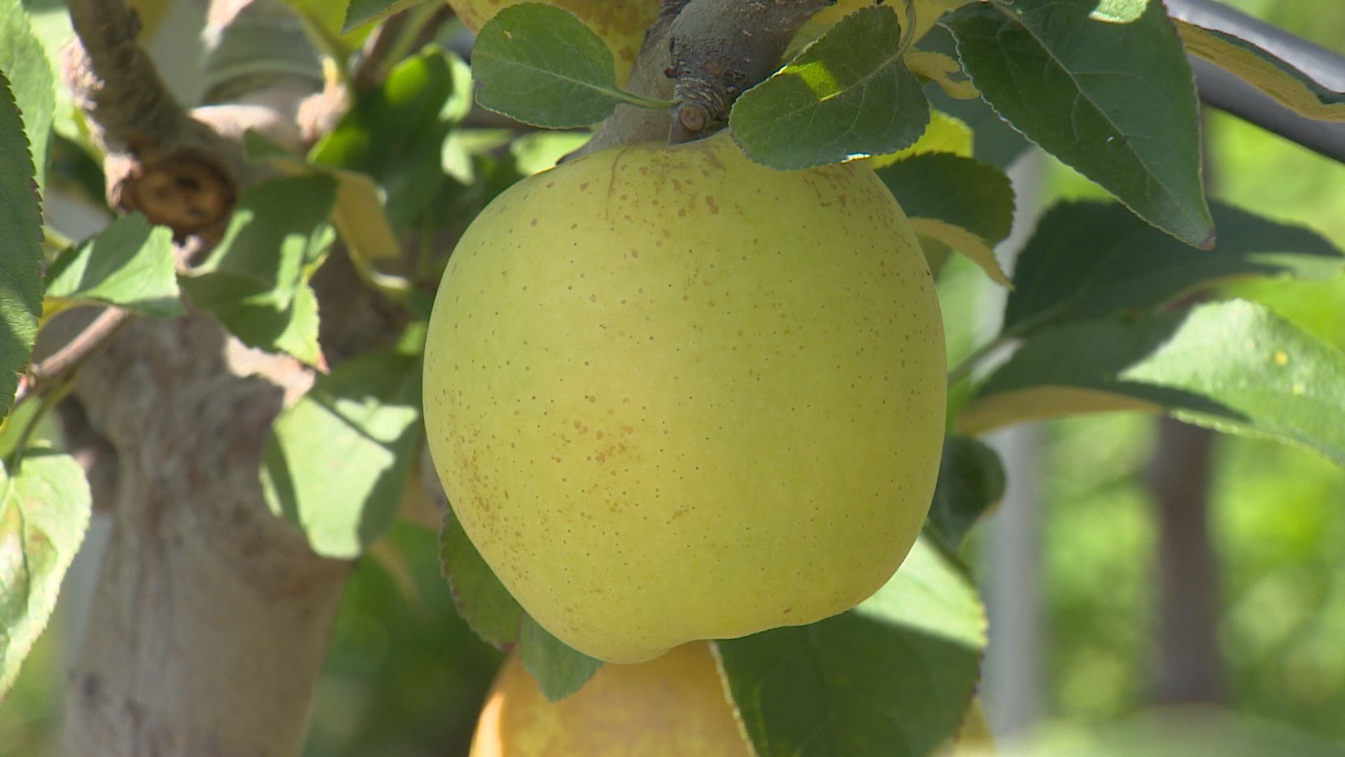 사진은 기사 내용과 무관