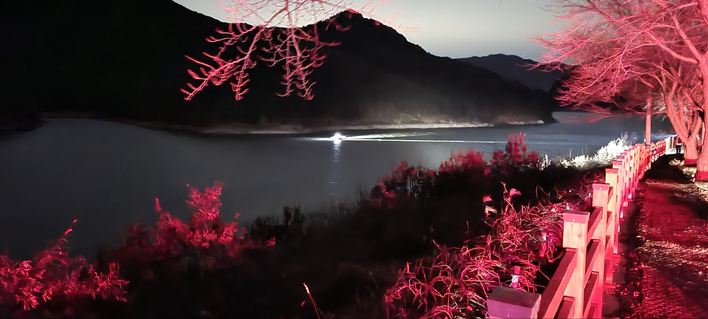 사진 제공 경북소방본부