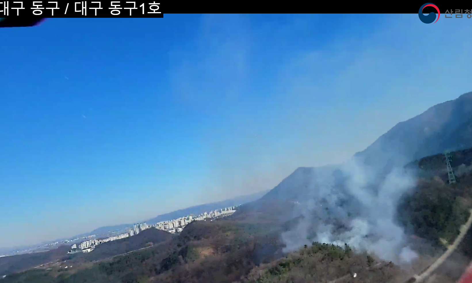 사진 제공 산림청
