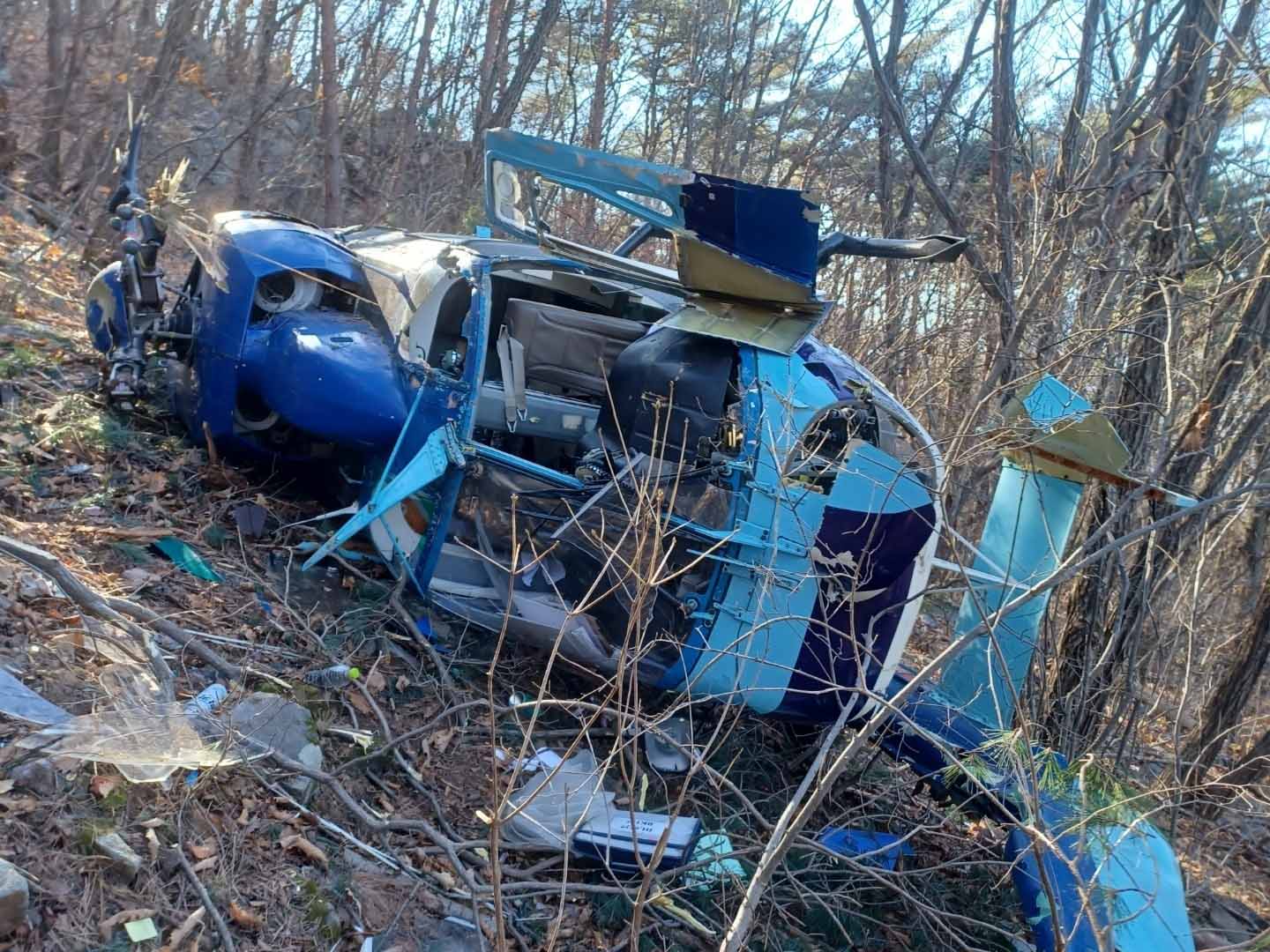 사진 제공 문경산림조합