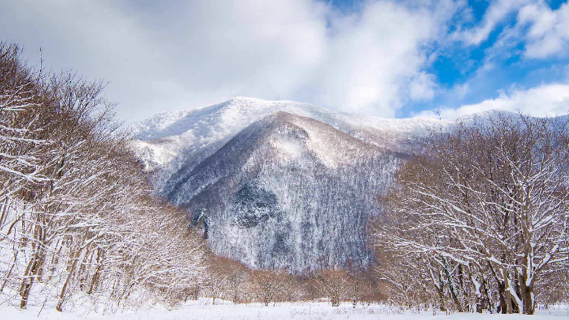사진 제공 울릉군