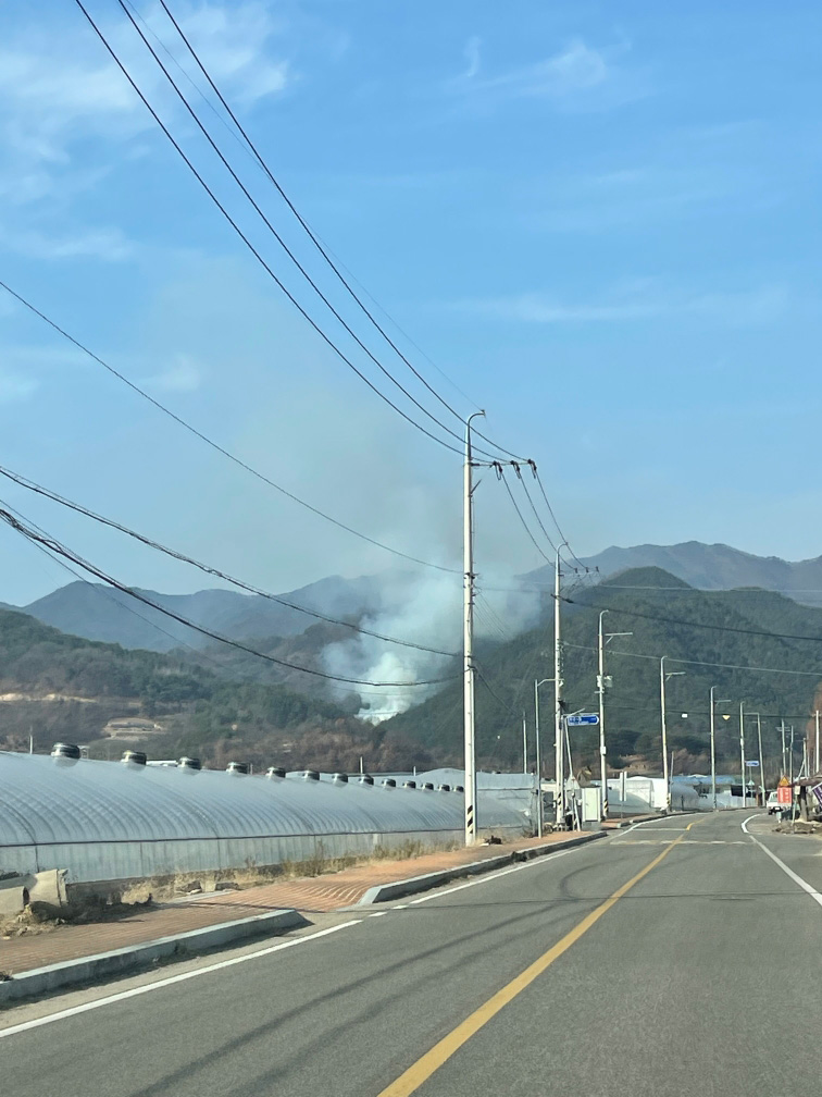 사진 제공 산림청