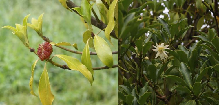 사진 제공 환경부