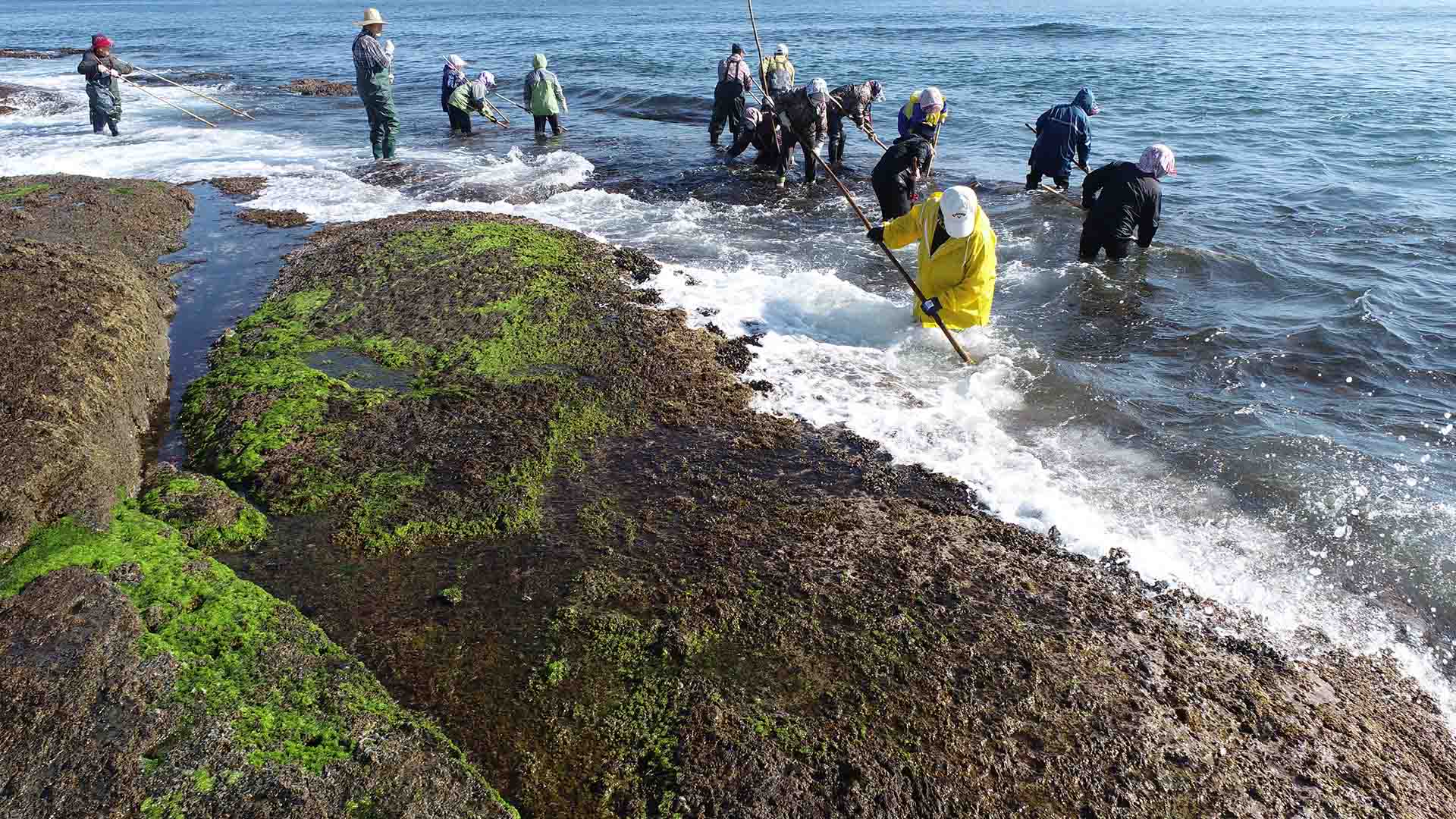 사진 제공 경상북도