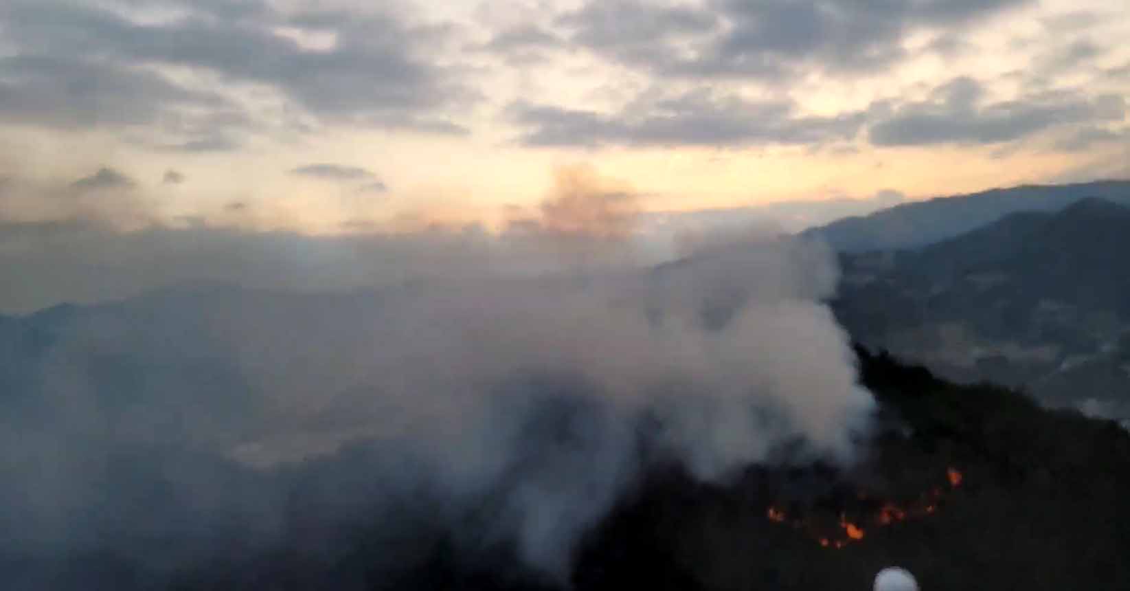 사진 제공 산림청