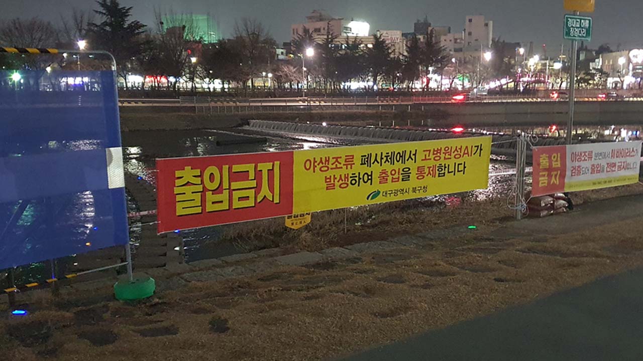 사진 제공 대구시