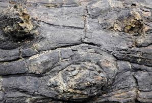 사진 제공 문화재청