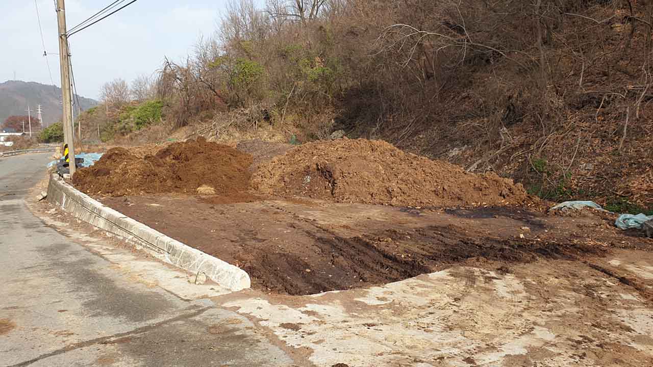 사진 제공 대구시
