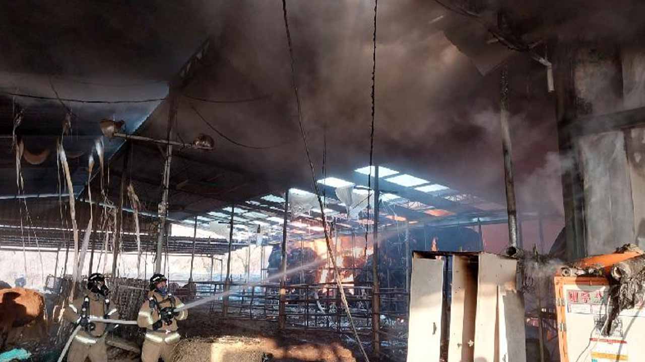 사진 제공 예천소방서