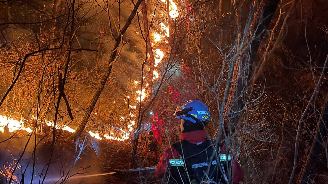 사진 제공 산림청, 경북소방본부