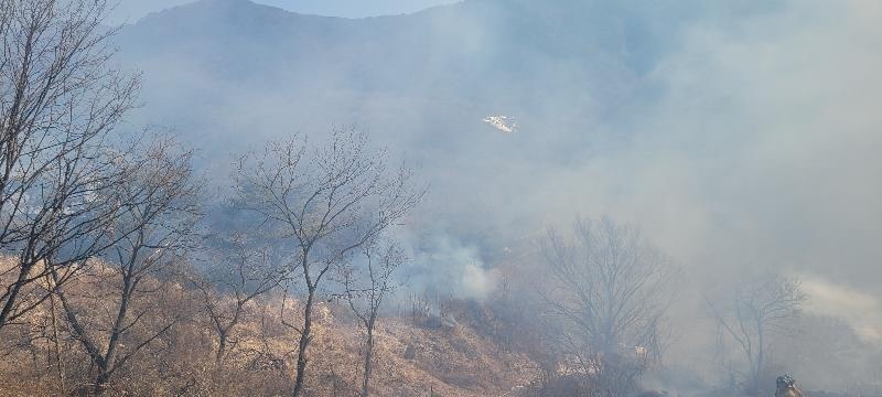 사진 제공 경북소방본부