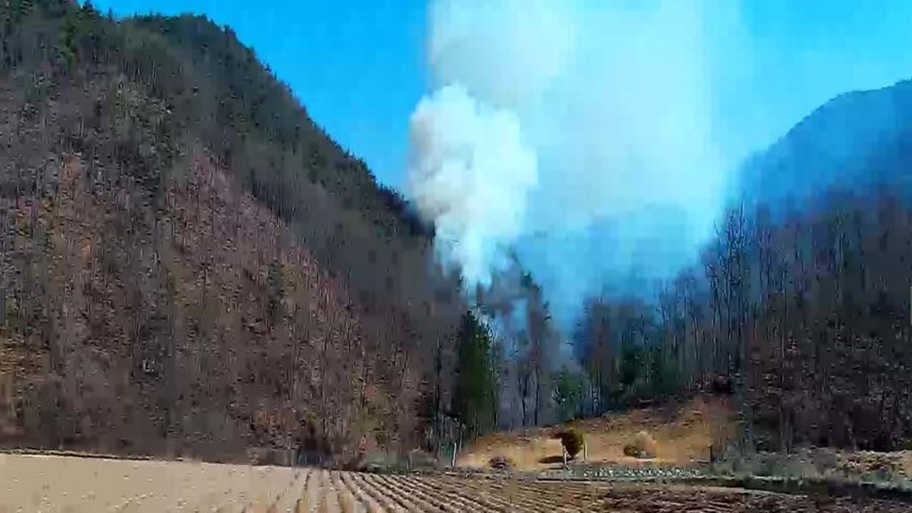 사진 제공 산림청