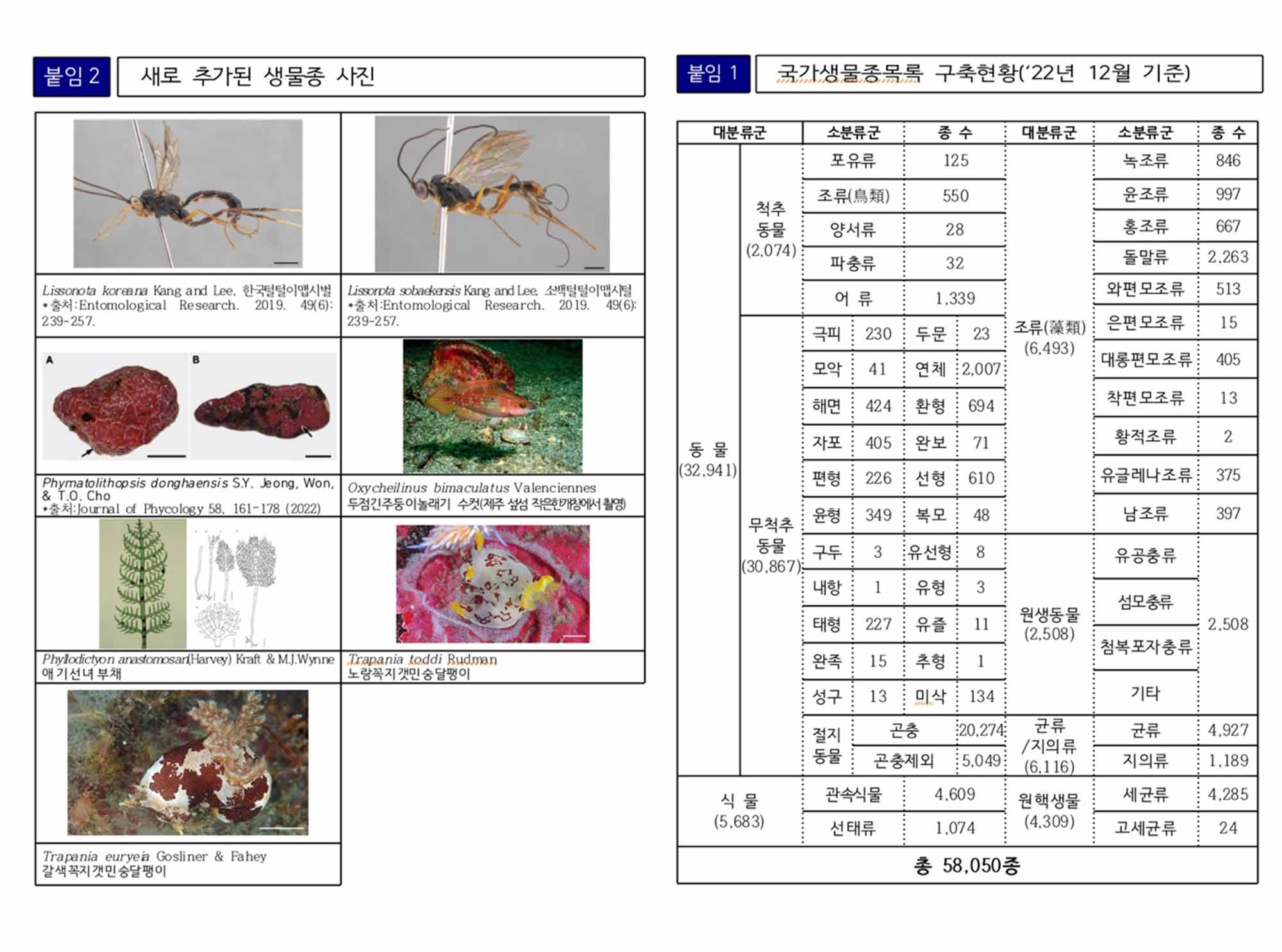 사진 제공 환경부