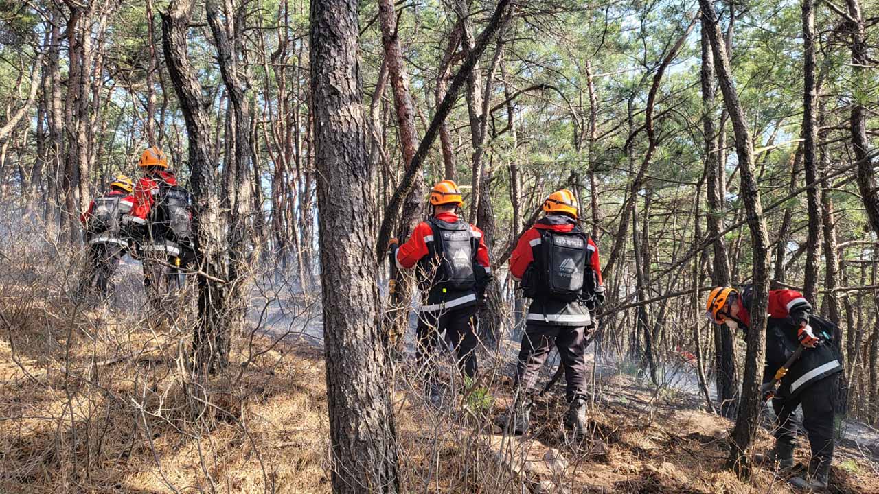 사진 제공 대구소방본부