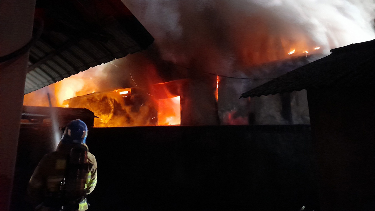 사진 제공 경북소방본부