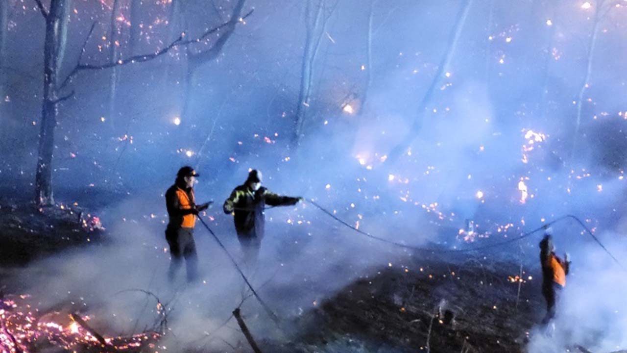 사진 제공 산림청, 경북 소방 본부