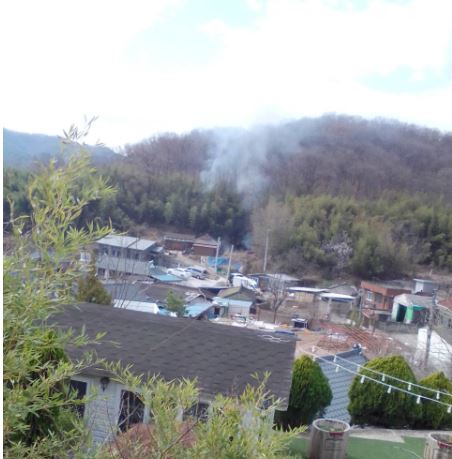 사진제공:산림청