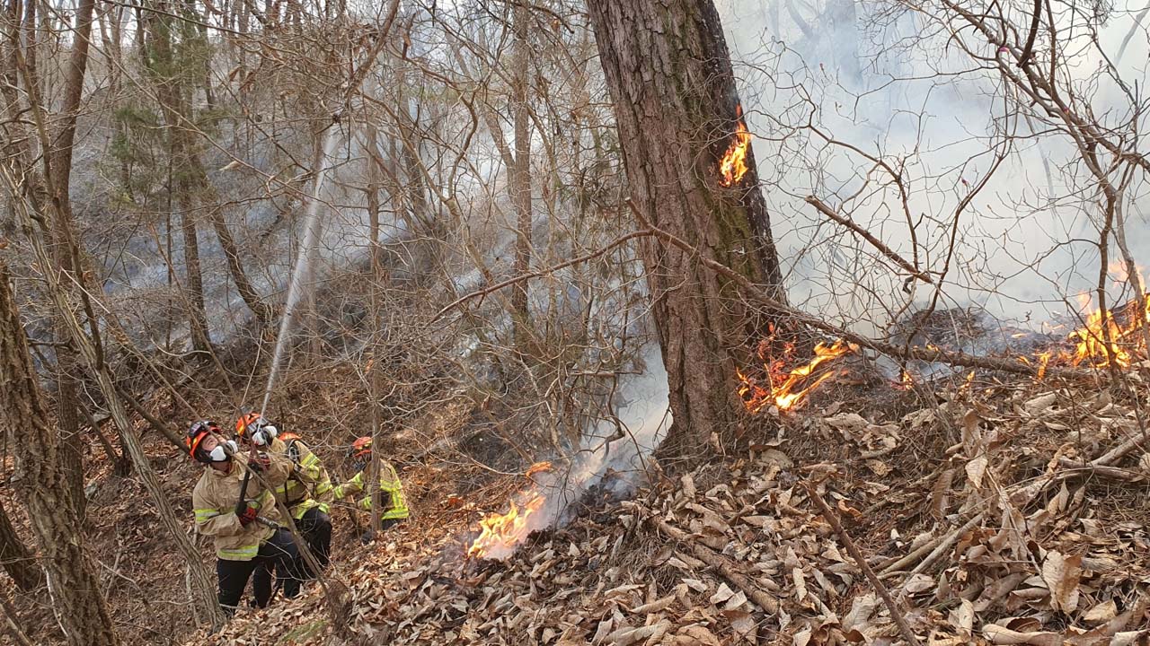 사진 제공 경북소방본부
