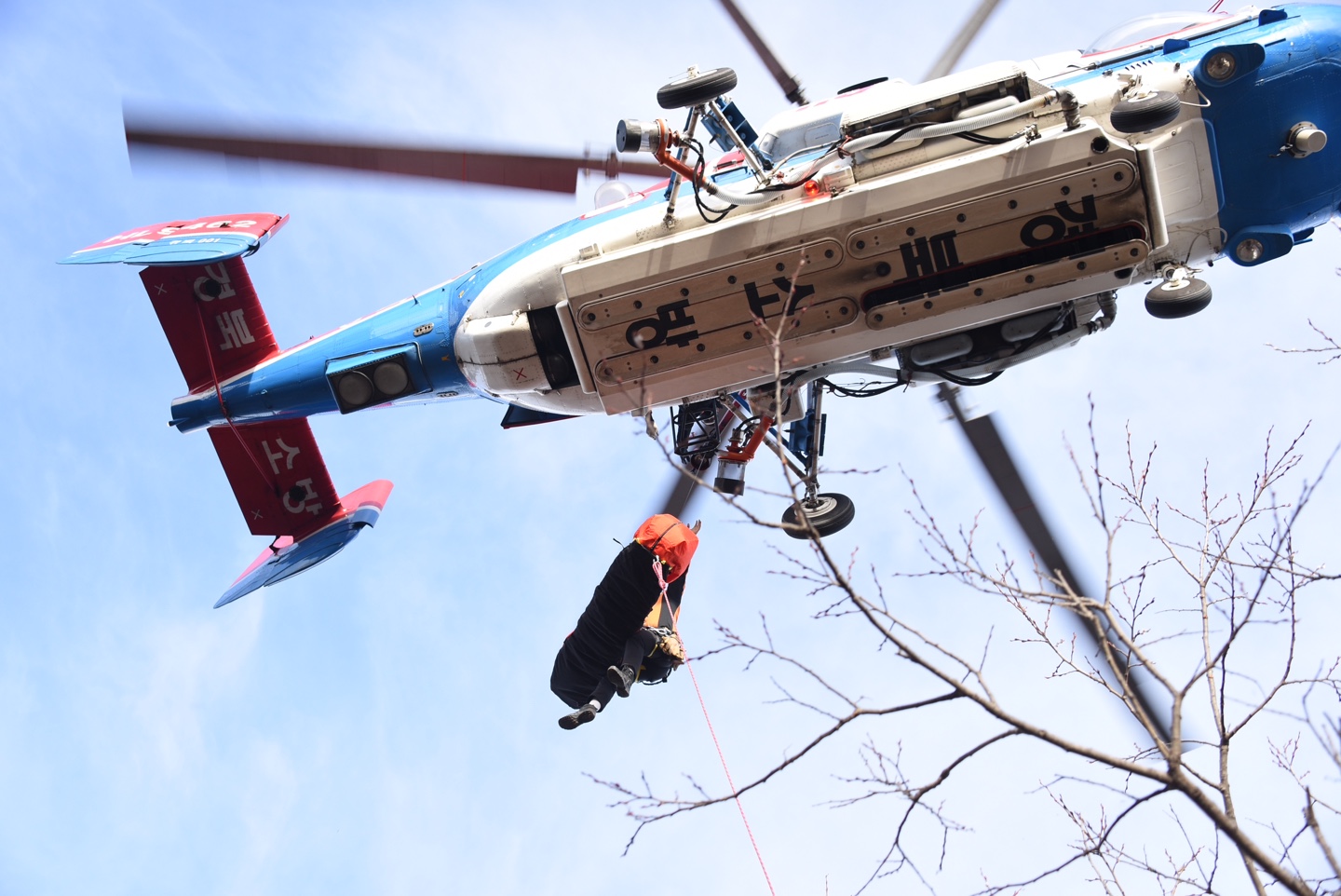 사진 제공 경북소방본부