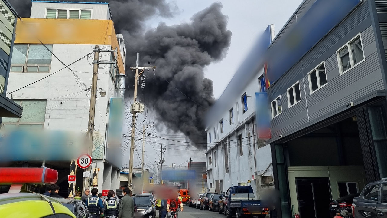 사진 제공 최영오 (시청자)