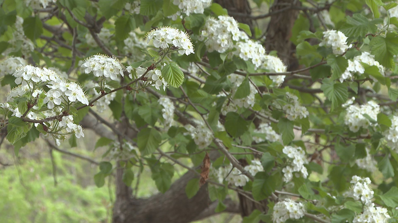 사진 제공 대구시