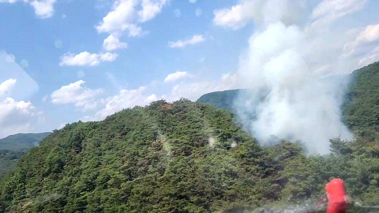 사진 제공 산림청