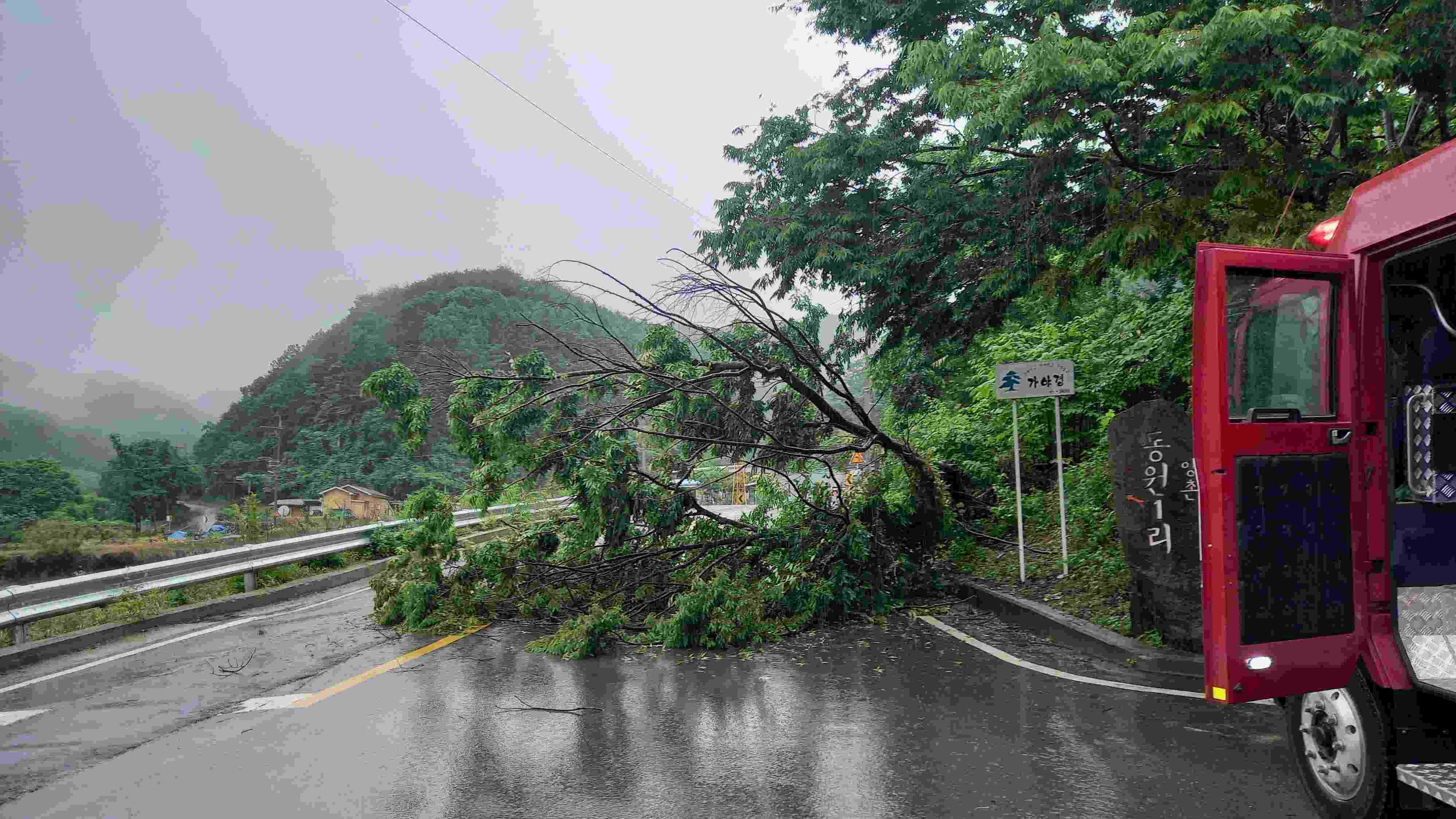 사진 제공 경북소방본부