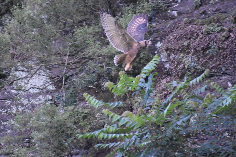 사진 제공 대구환경운동연합