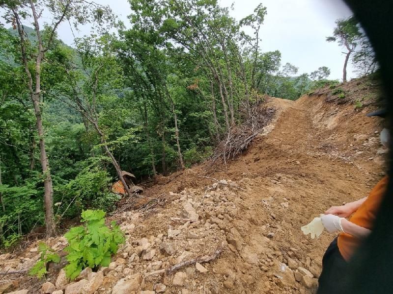 사진 제공 경북소방본부