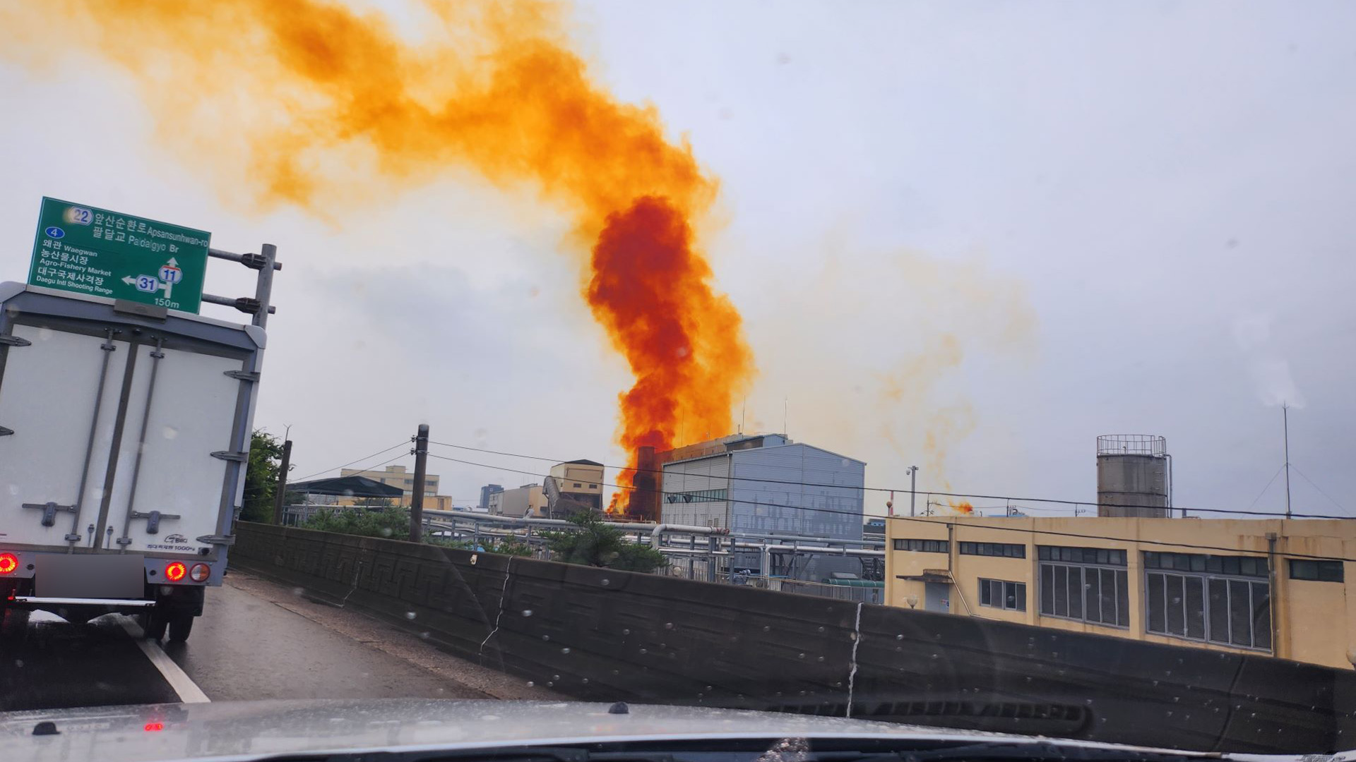 사진 제공 박정화