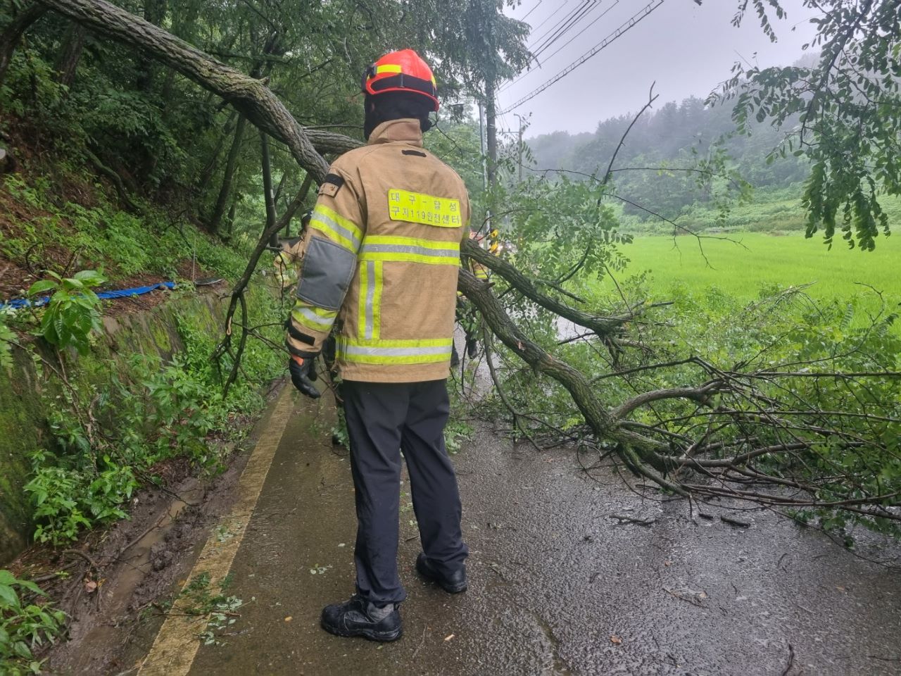 사진 제공 경북소방본부