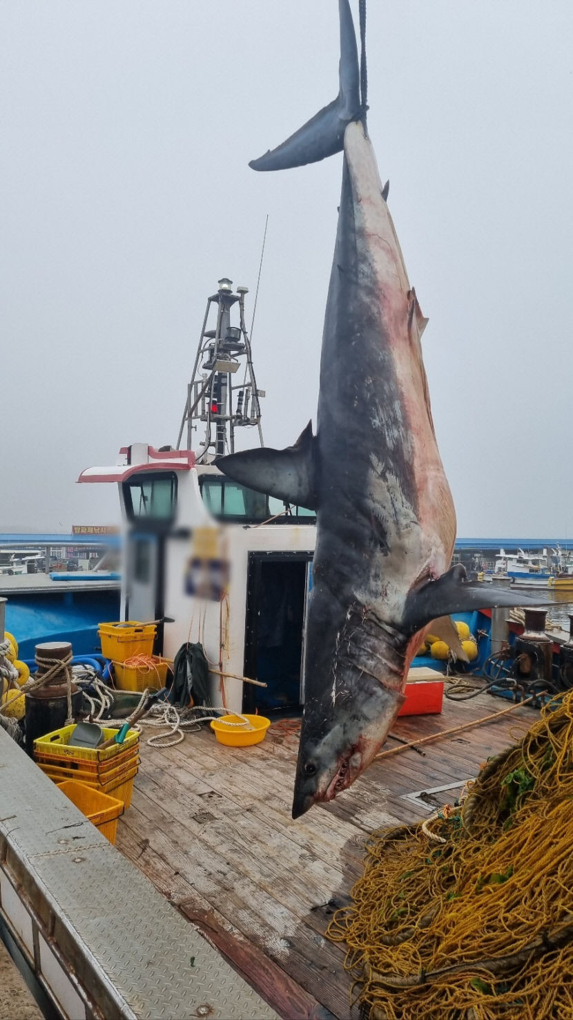 사진 제공 포항해양경찰서