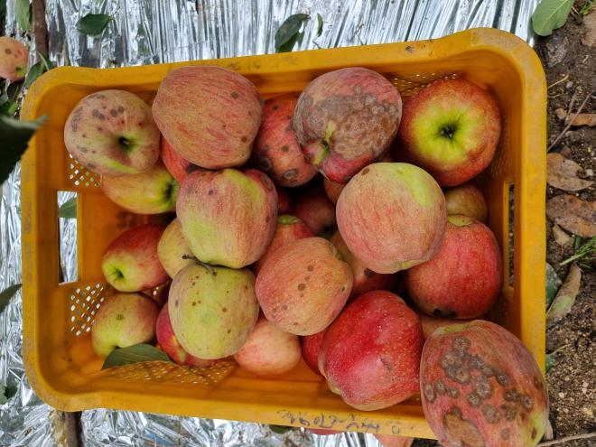 사진 제공 경상북도