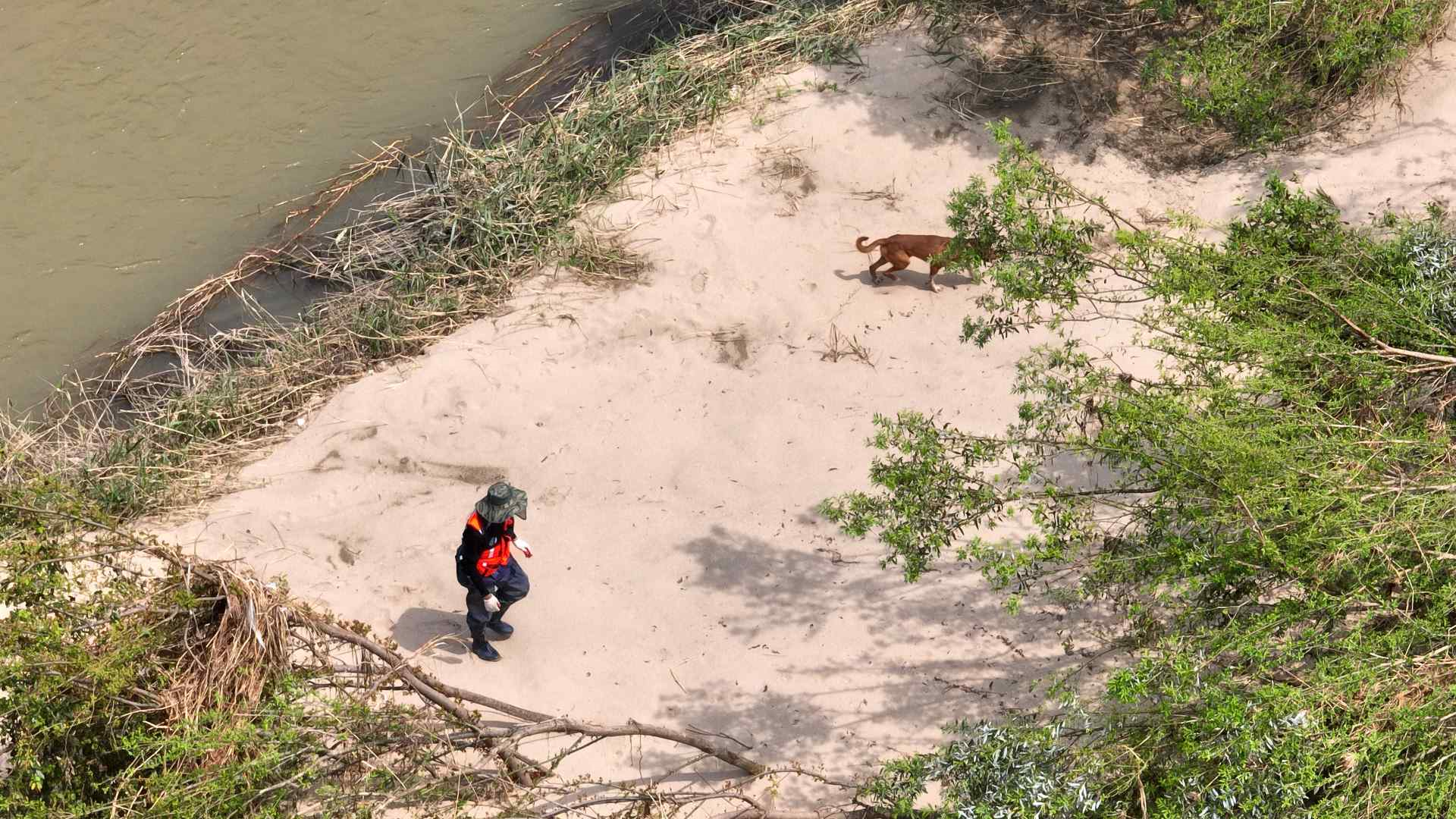 사진 제공 경북소방본부