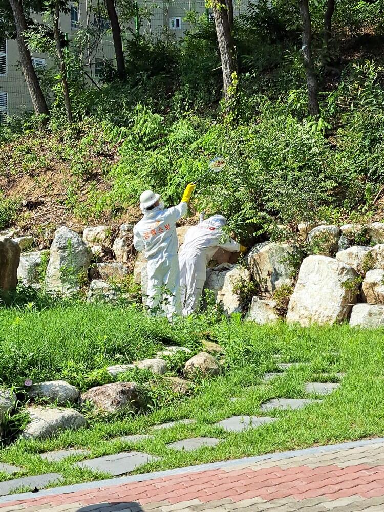 사진 제공 경북소방본부