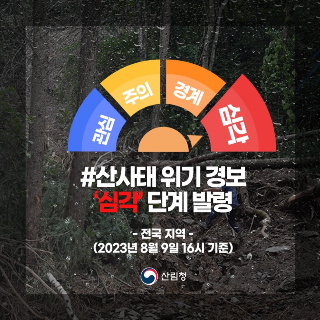 사진 제공 산림청