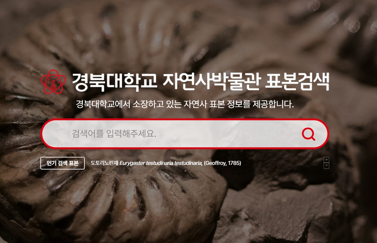 사진 제공 경북대학교