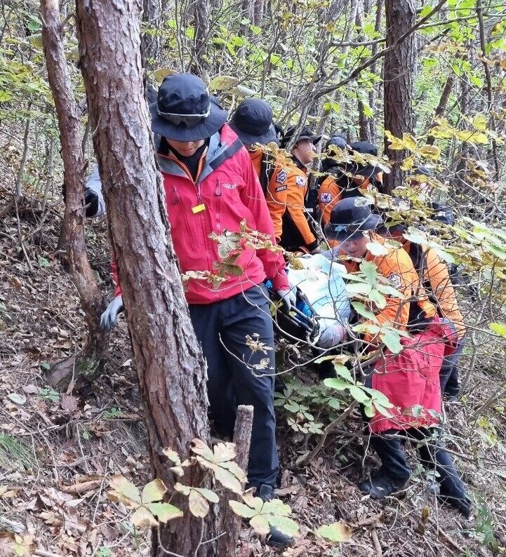 사진 제공 경북소방본부