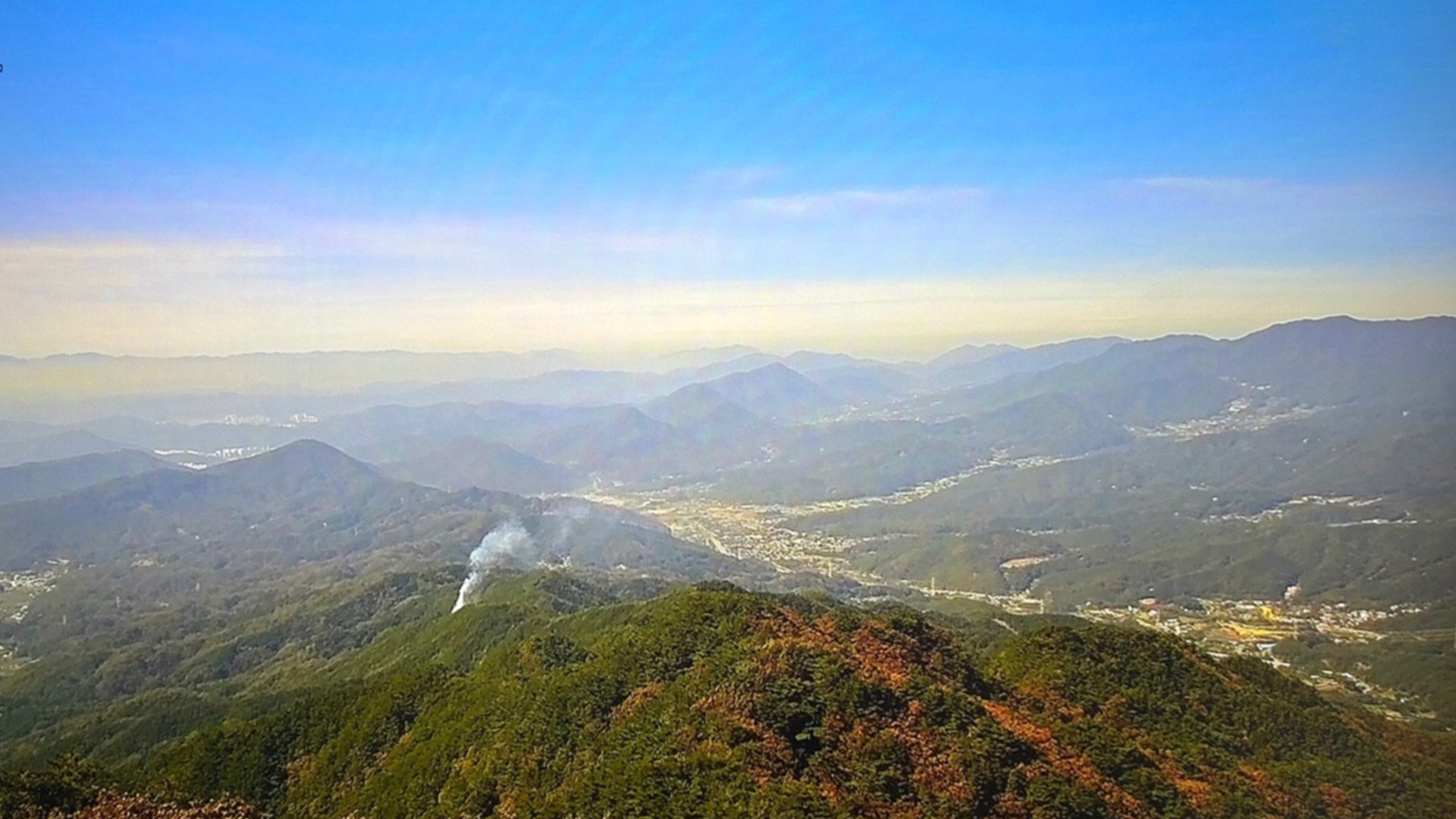 사진 제공 산림청