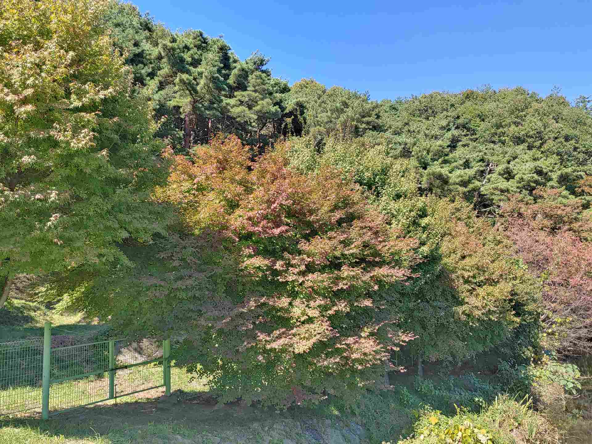 사진 대구지방기상청 제공