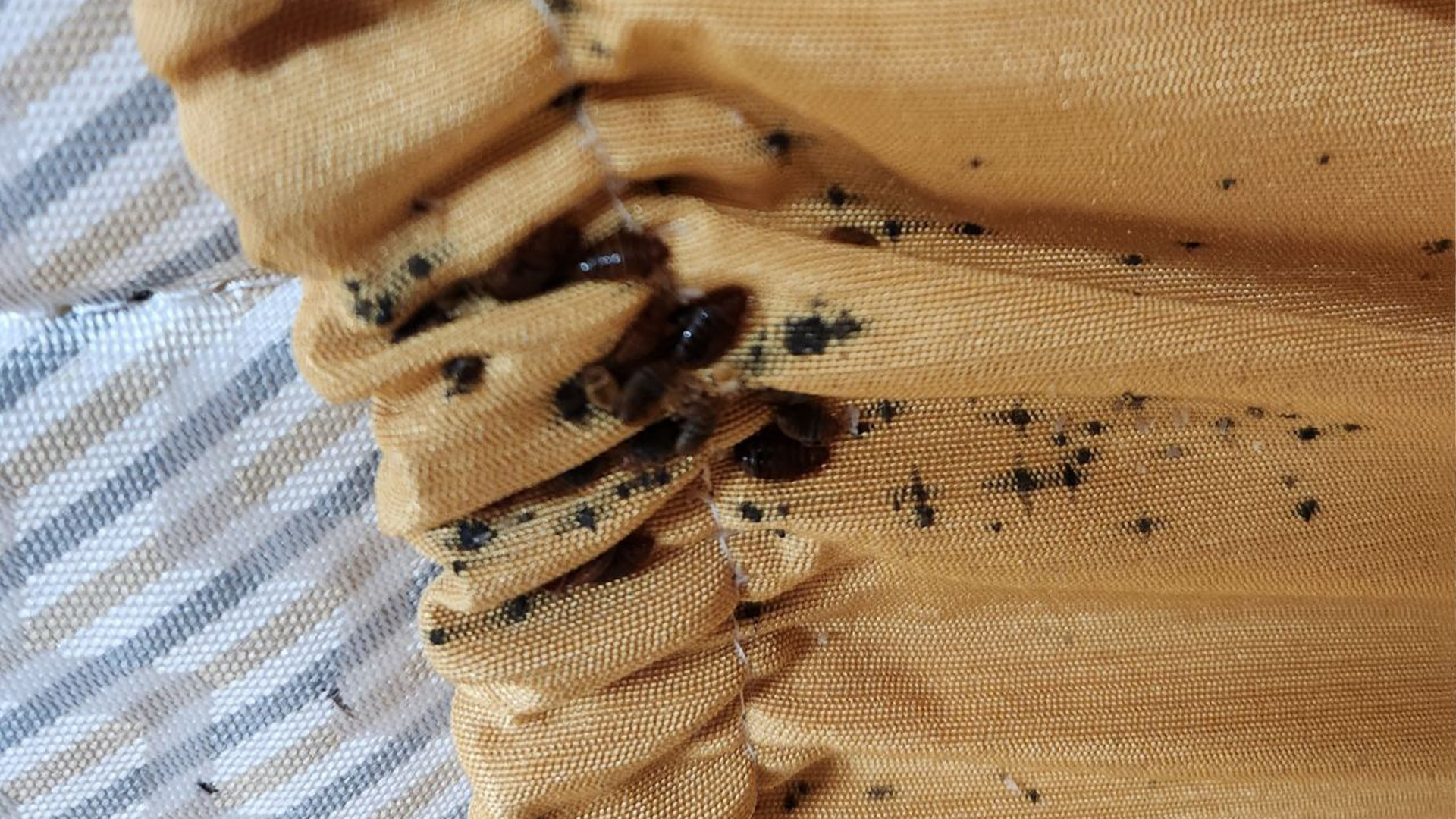 사진 제공 계명대학교