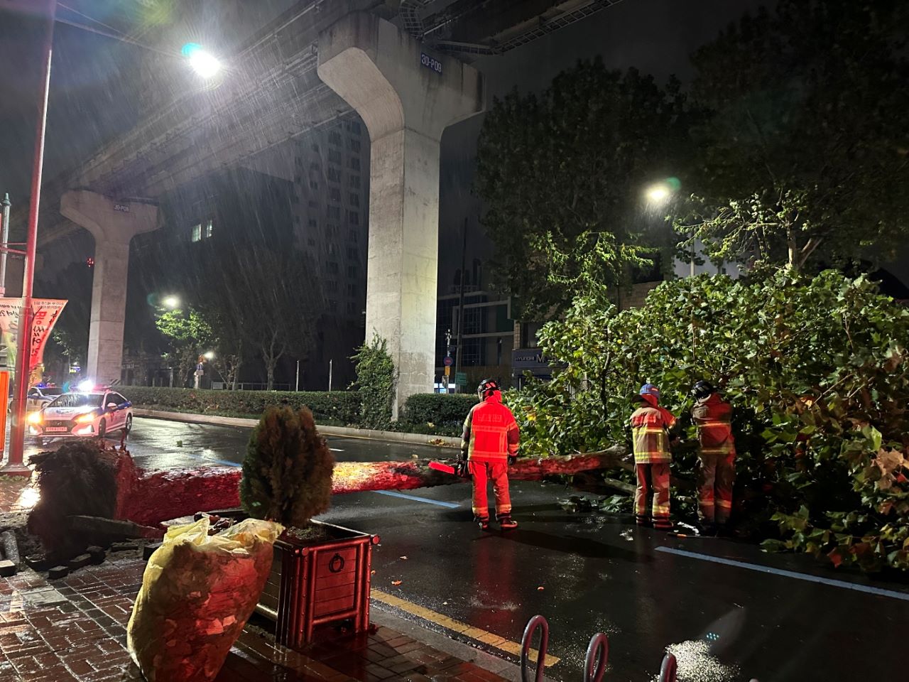 사진 제공 대구소방본부