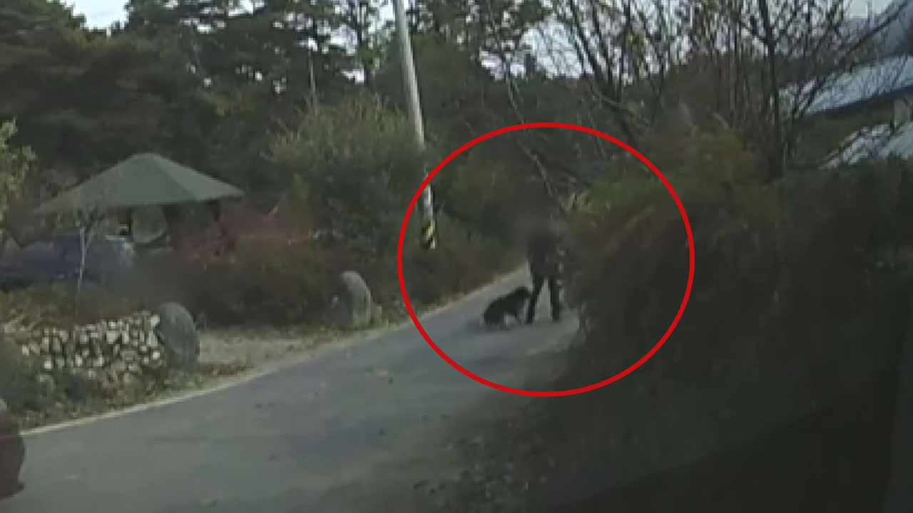 사진 온라인 커뮤니티 캡처