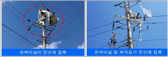 사진 한국전력 대구본부