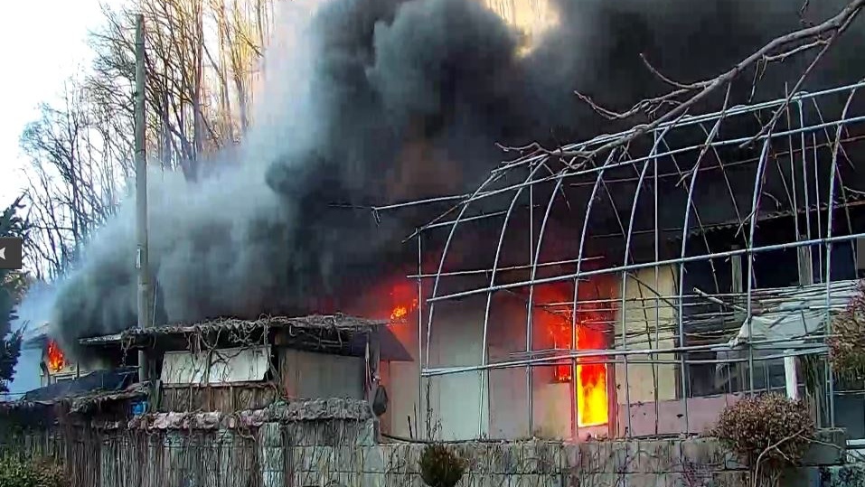 사진 제공 경북소방본부