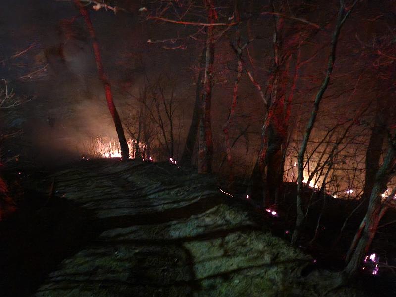 사진 제공 산림청