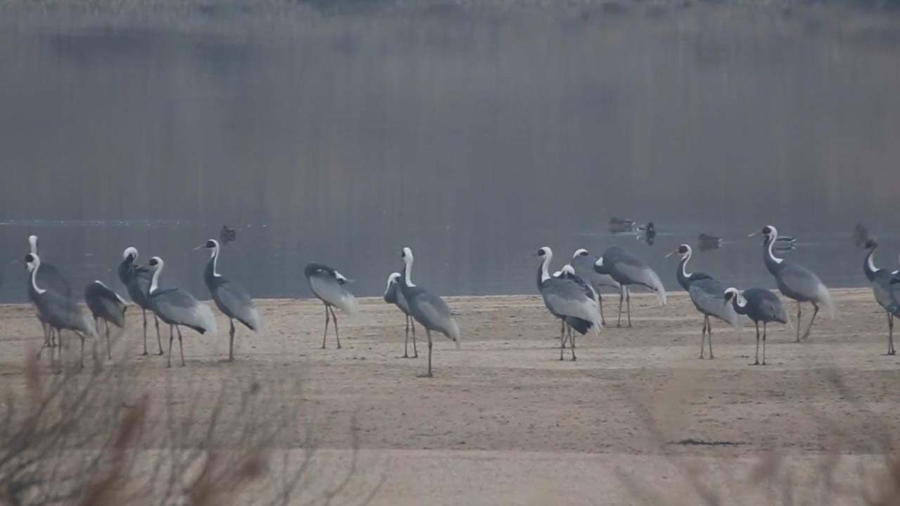 사진 제공 대구환경운동연합