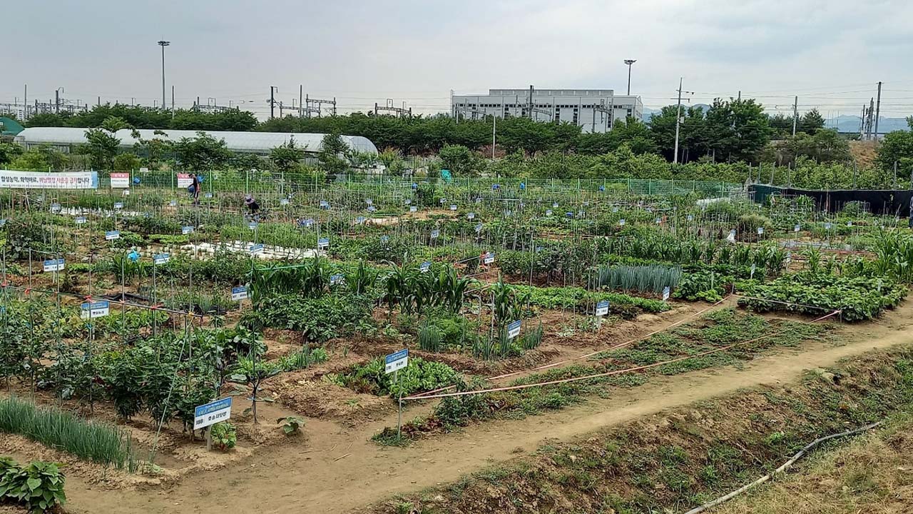 사진 제공 대구 수성구