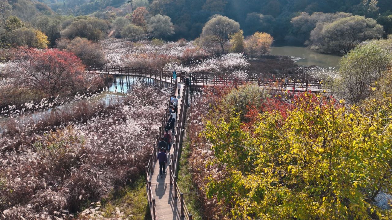 사진 제공 문경시