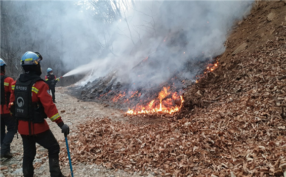 사진 제공 산림청